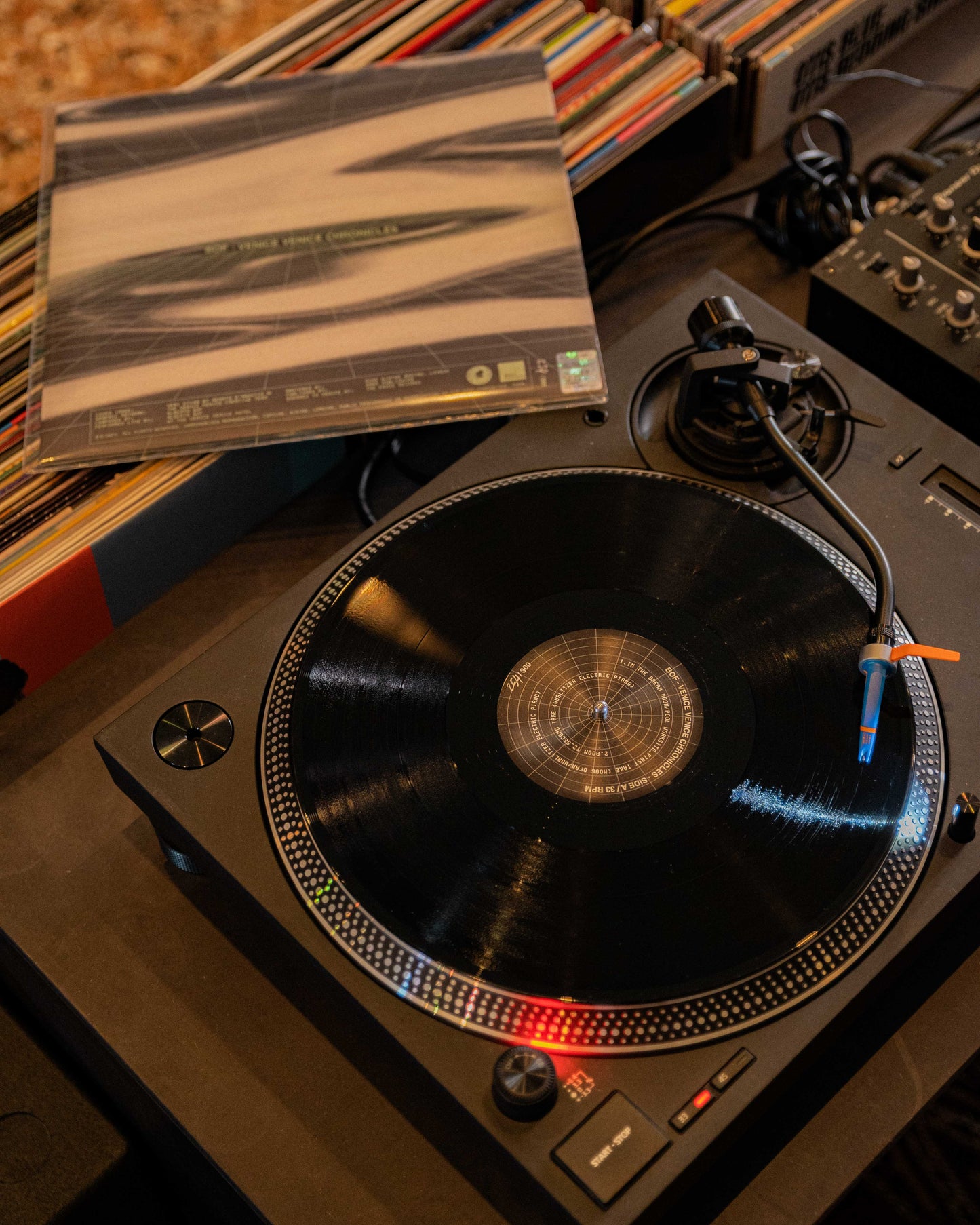 Venice Venice Chronicles